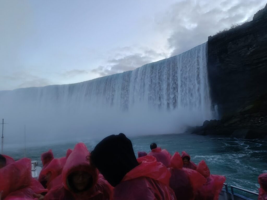 IMG20241123164511